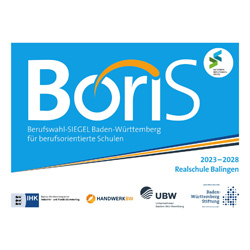 Logo BoriS Logo BoriS